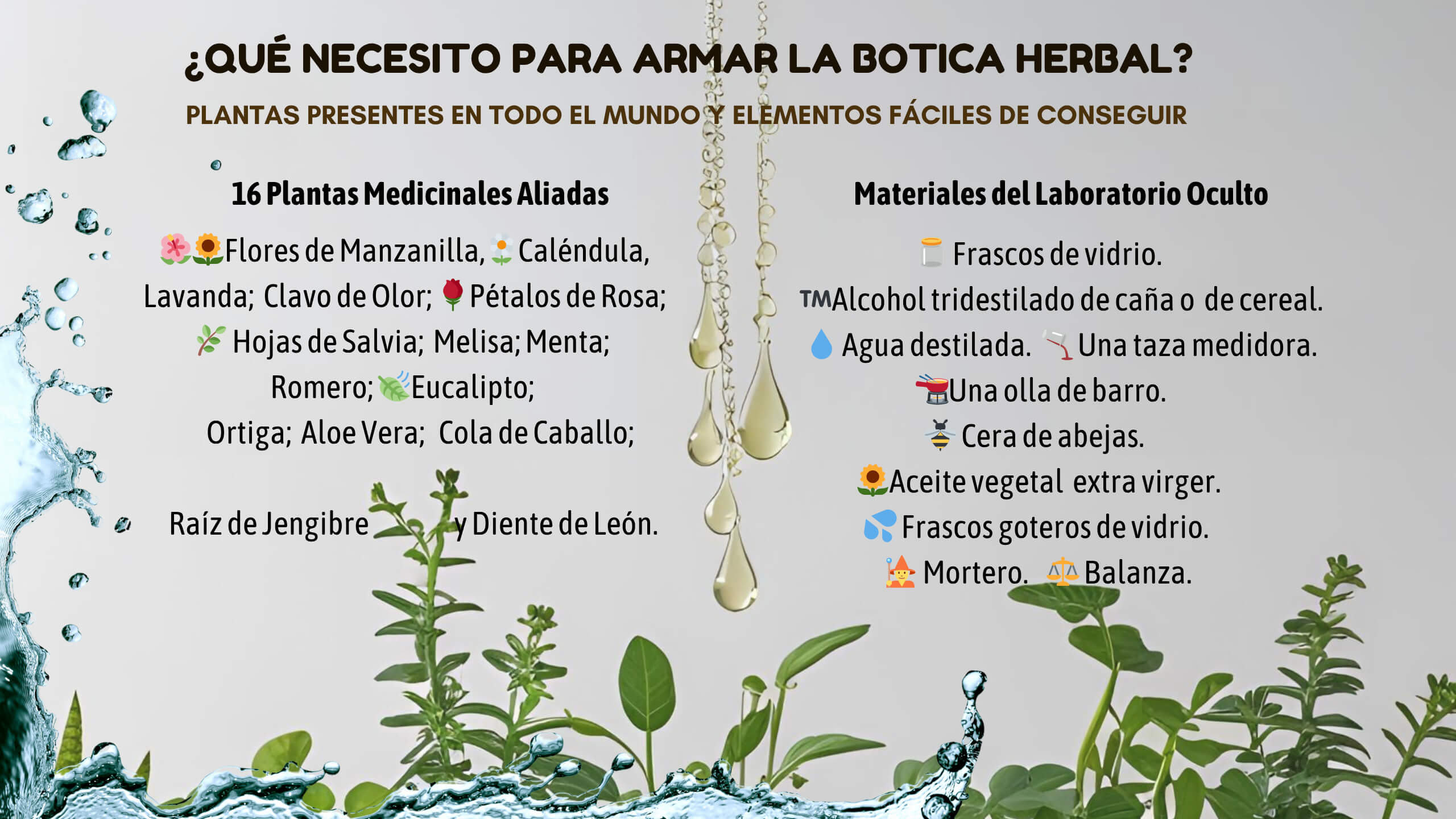 Formacion Botica Herbal Elementos necesarios para armar la Botica Herbal.